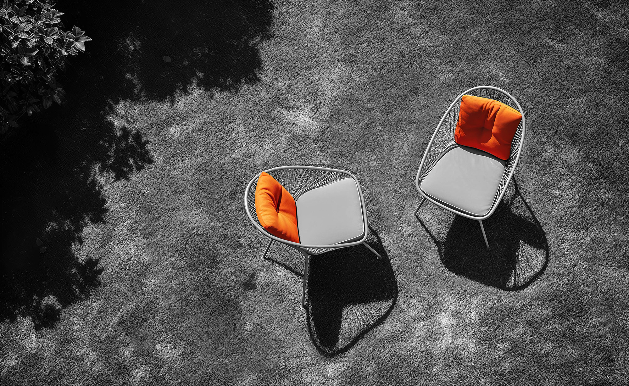 Personalised Mortgage Advice Twine Mortgage Advisers Auckland